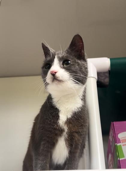 Bubble — thumbnail 2