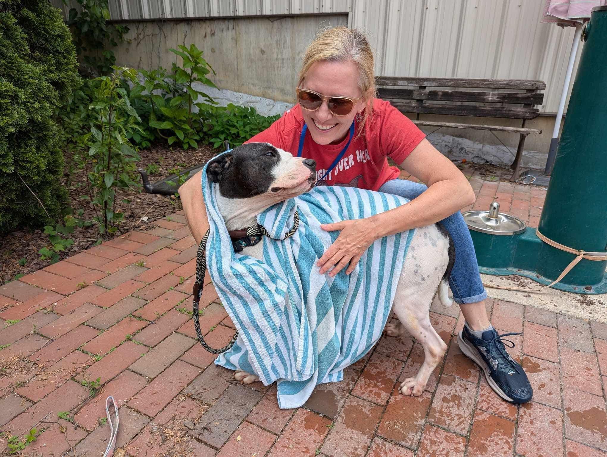 Aaliyah, a Adoptable mixed breed in Philadelphia, PA image 5/6