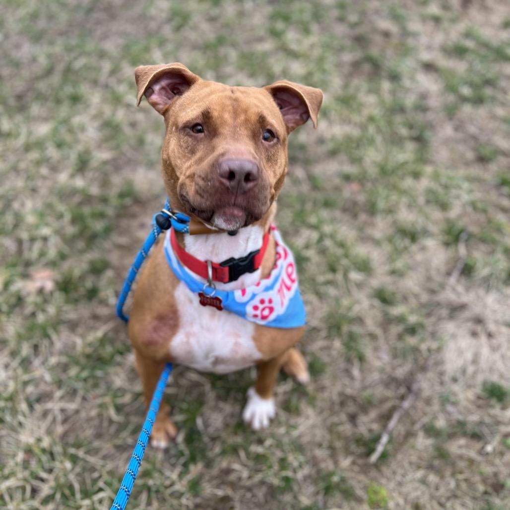 Suzie — thumbnail 6