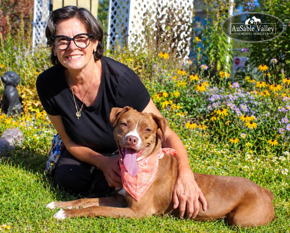 Enlarge Lotus, a Adoptable mixed breed in Grayling, MI image 5/6