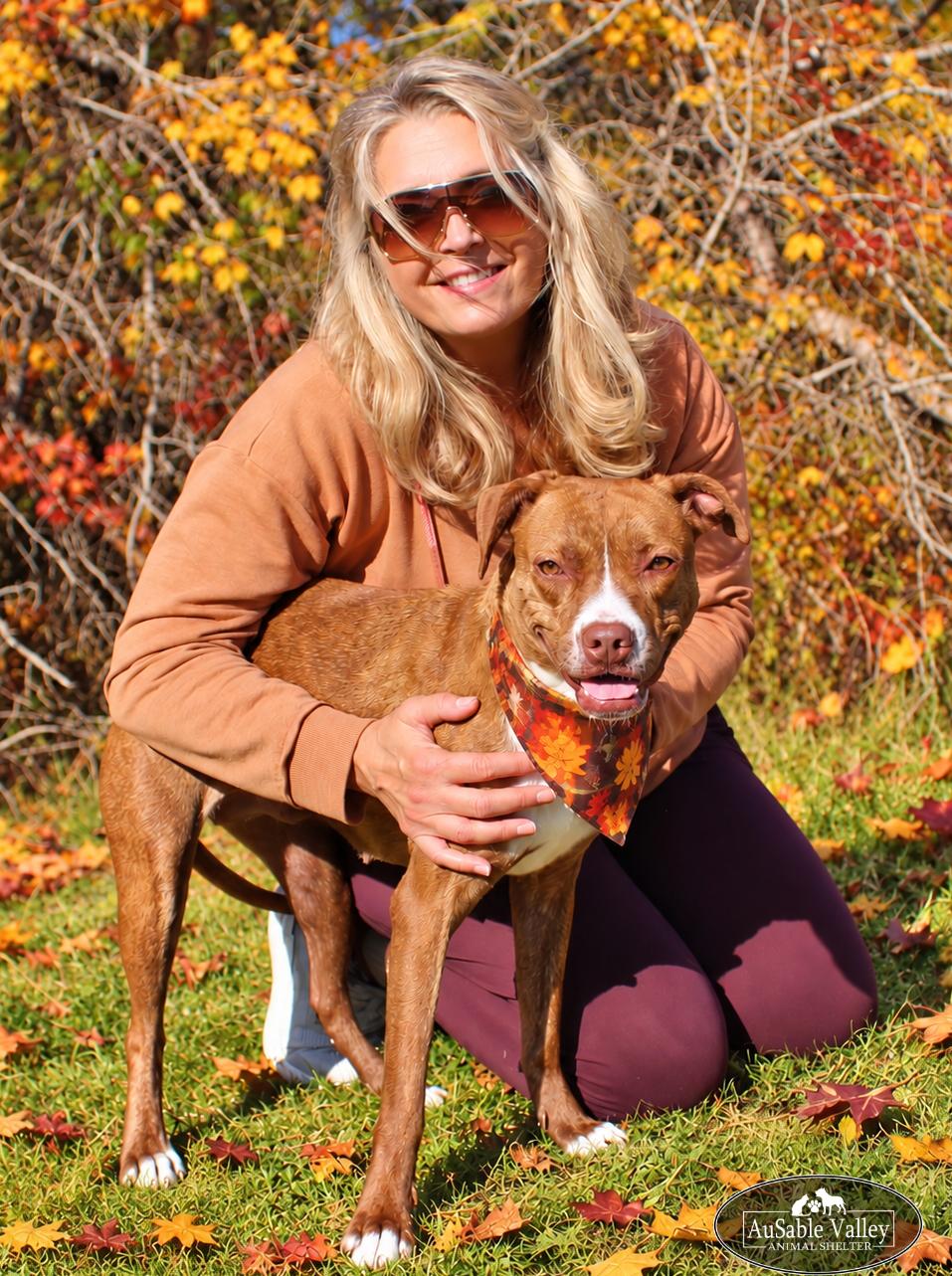 Enlarge Lotus, a Adoptable mixed breed in Grayling, MI image 5/6