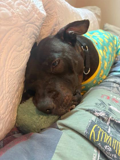 Savvy — thumbnail 2