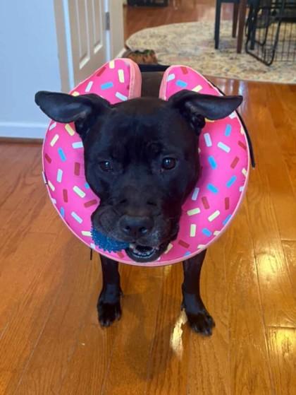 Savvy — thumbnail 3