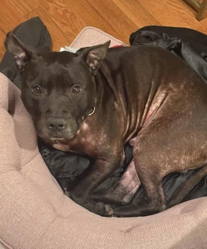 Savvy — thumbnail 4