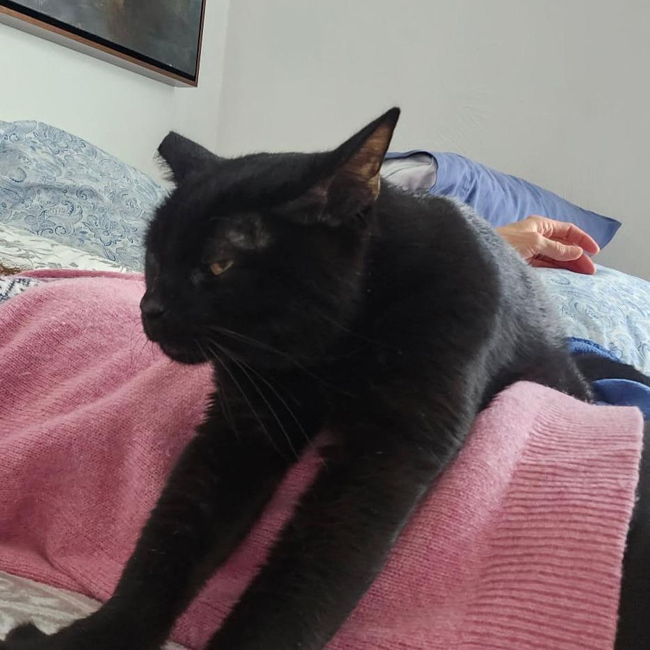 Salsa Macha — thumbnail 2