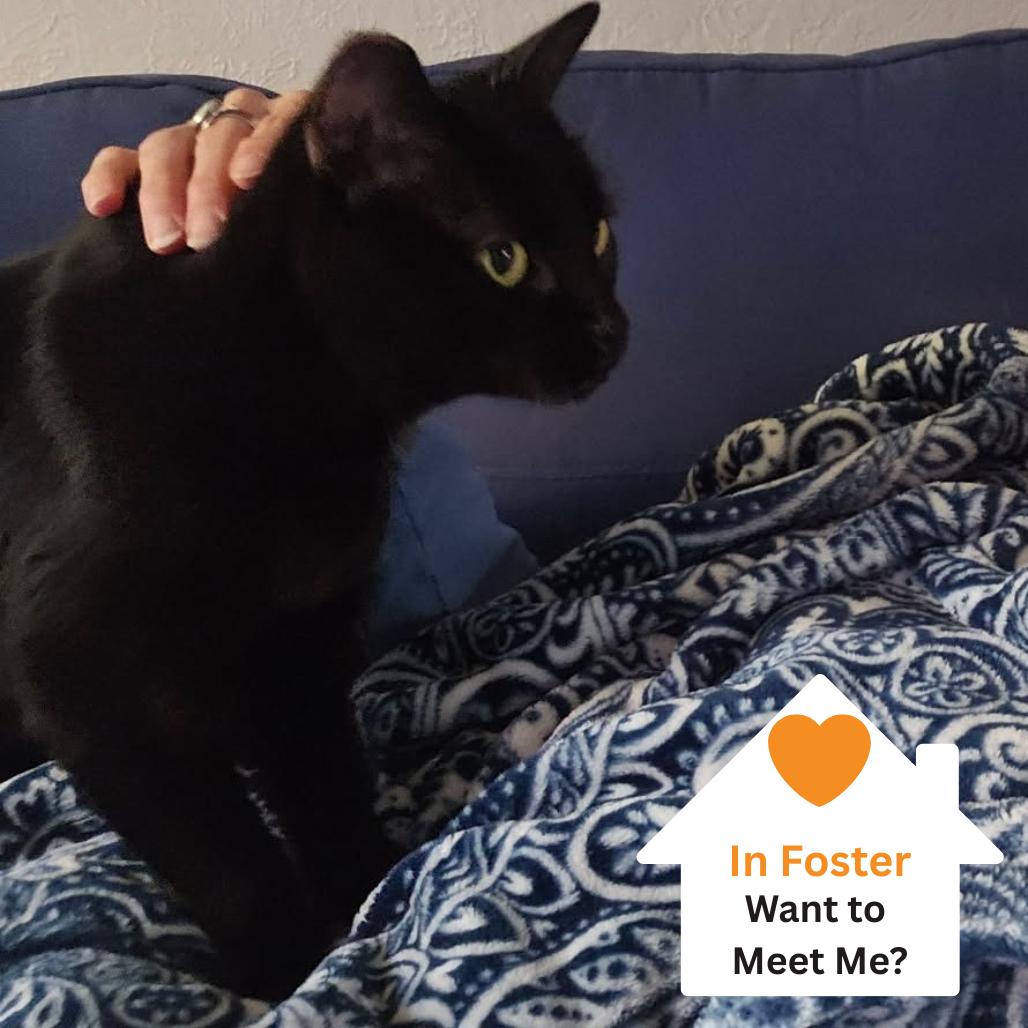 Salsa Macha — thumbnail 3