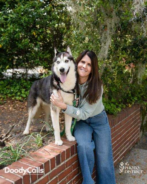 Enlarge Milo, a ADOPTABLE Siberian Husky in Manhasset, NY image 2/6