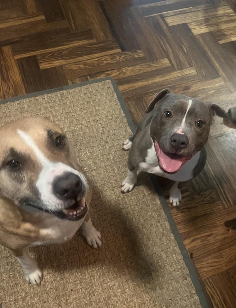 Corrie — thumbnail 4