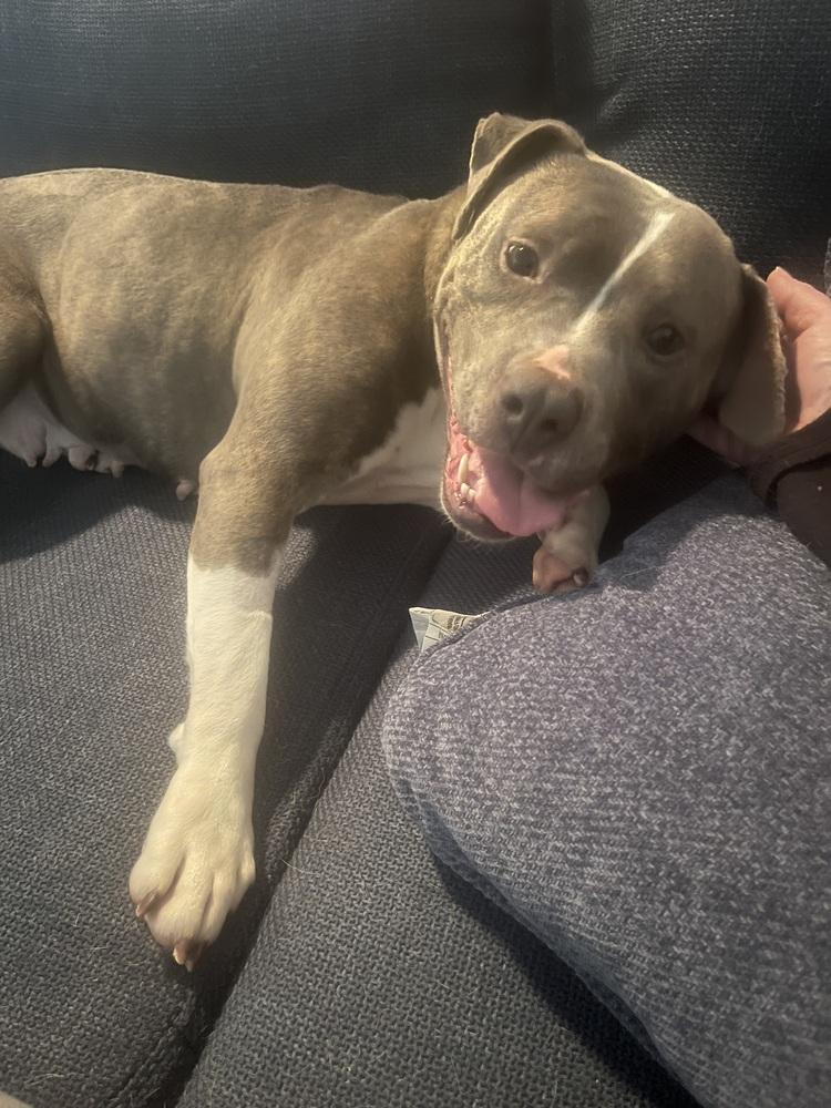 Corrie — thumbnail 5