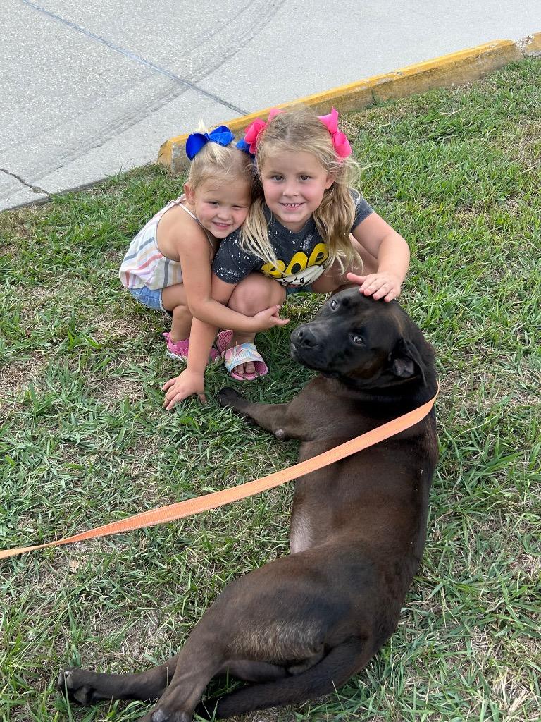 Enlarge Momma, a Adoptable mixed breed in St. Francisville, LA image 2/5