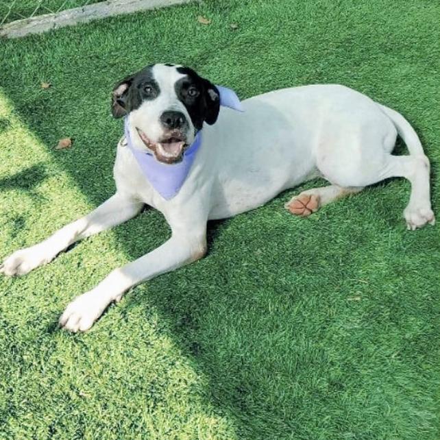 Baylin — thumbnail 2