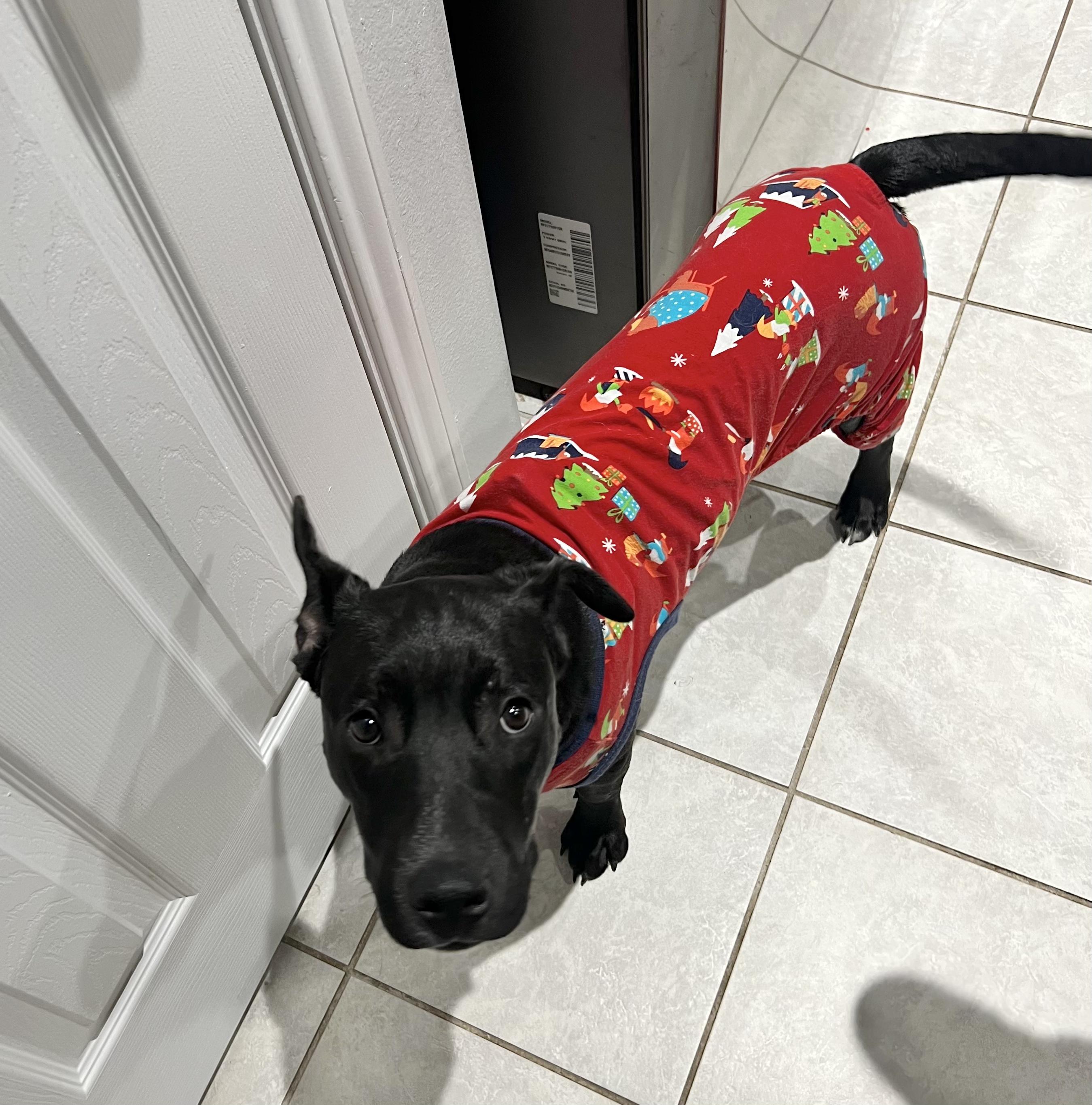 Crunch — thumbnail 2