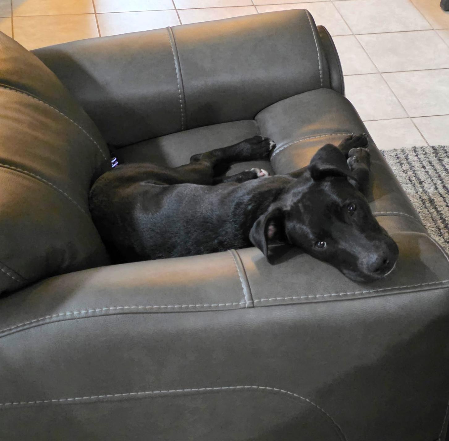 Crunch — thumbnail 5