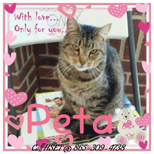 Peta photo 3