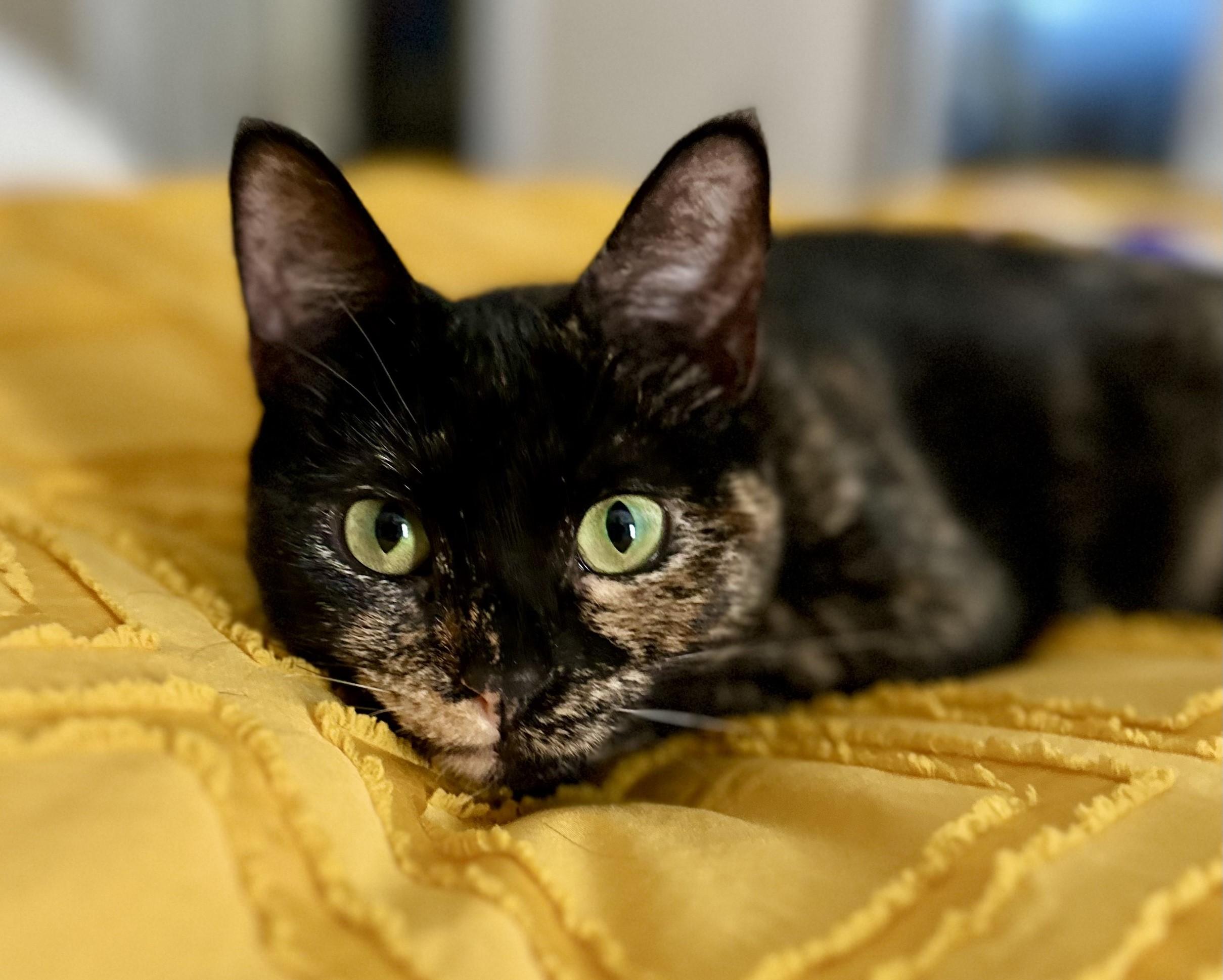 Roxana