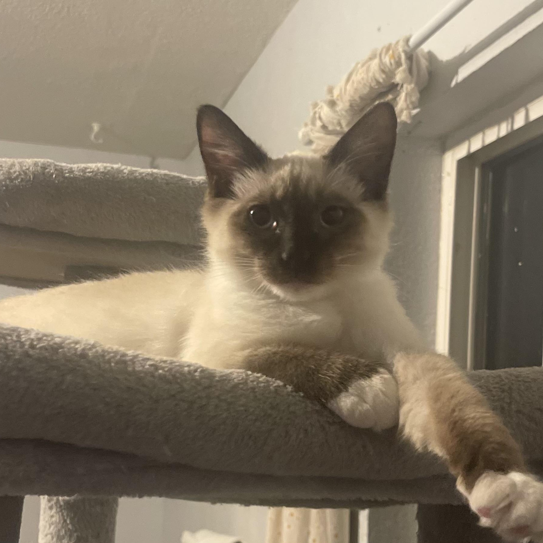 Eddy & Jacob INDOOR ONLY — thumbnail 4