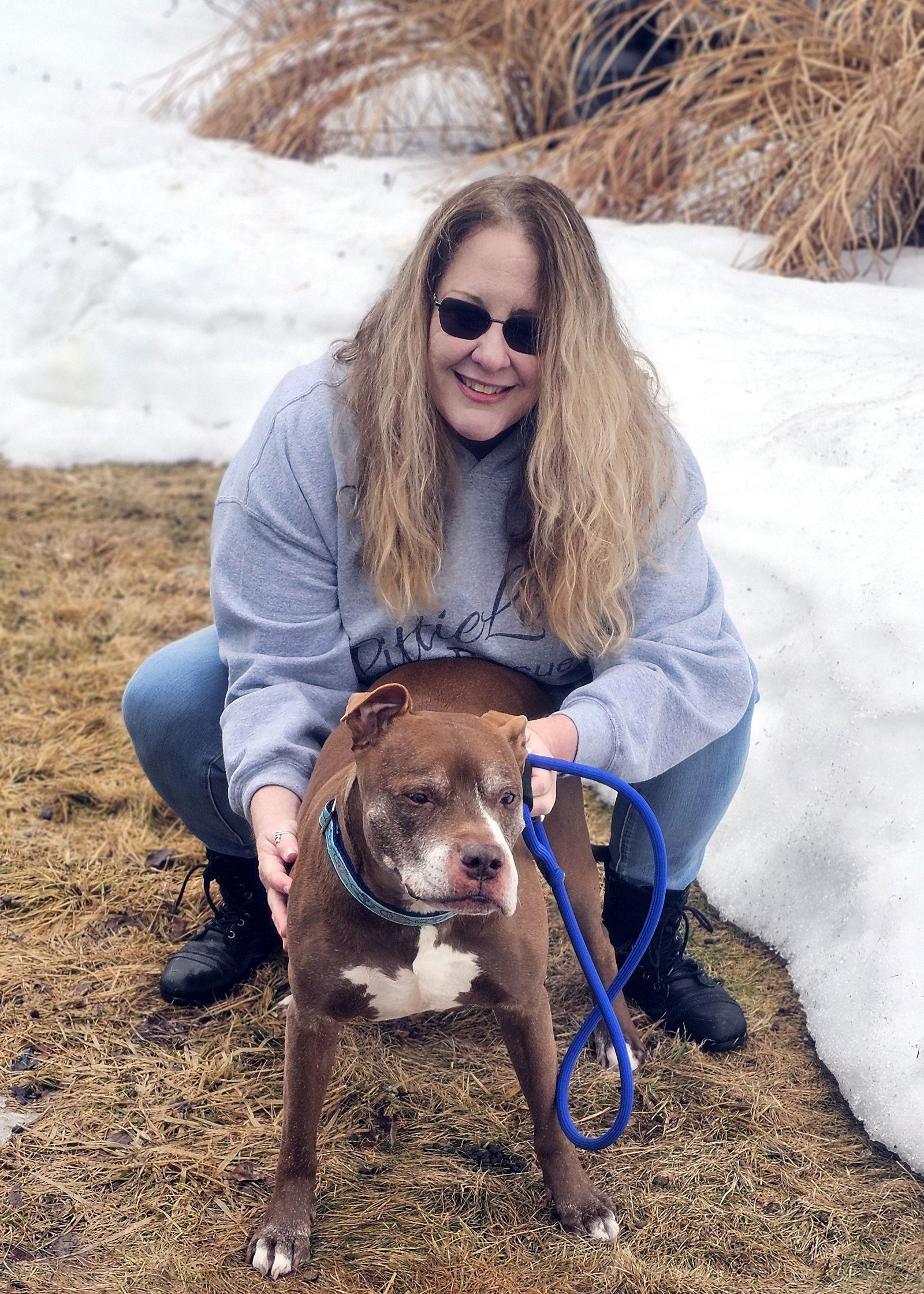 Enlarge Kane, a Adopted Pit Bull Terrier in Framingham, MA image 3/3