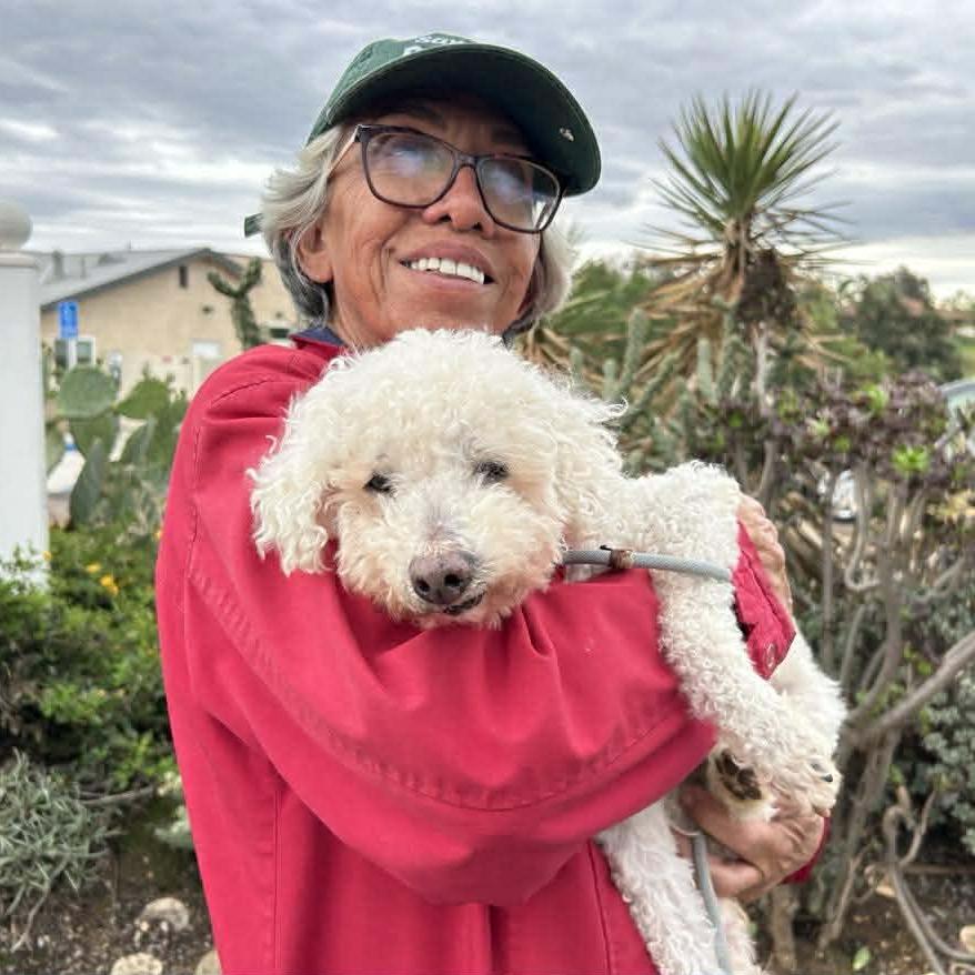 Butterfinger, a Adoptable Poodle in Sonoma, CA image 4/6