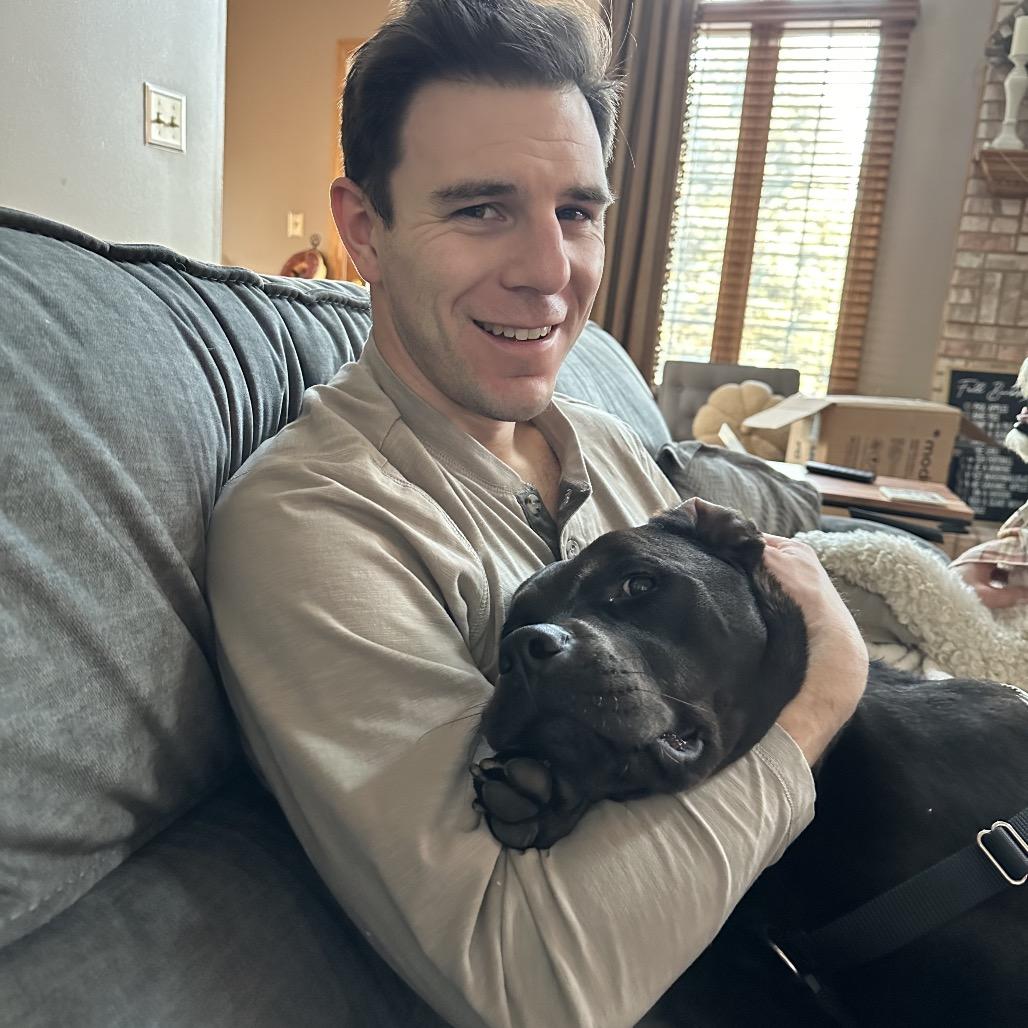 Enlarge Porter, a Adoptable Pit Bull Terrier in Chicago, IL image 1/6