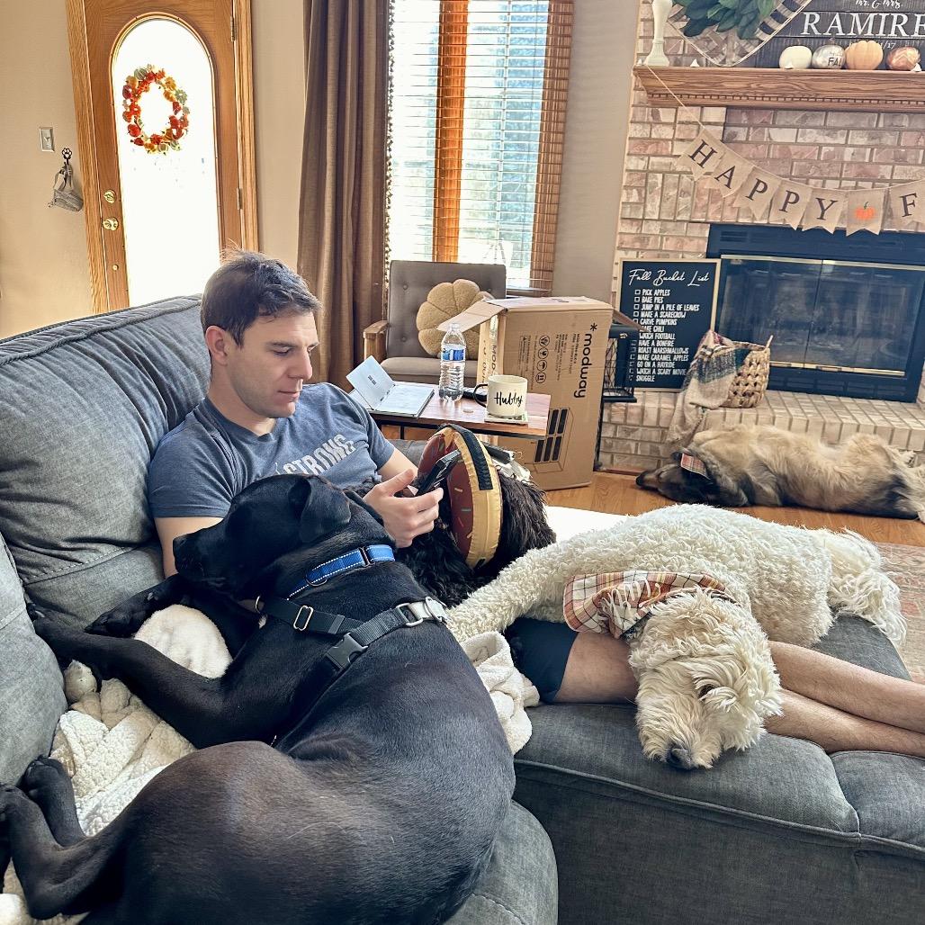 Enlarge Porter, a Adoptable Pit Bull Terrier in Chicago, IL image 2/6