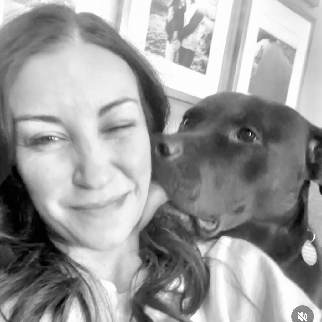 Enlarge Porter, a Adoptable Pit Bull Terrier in Chicago, IL image 5/6