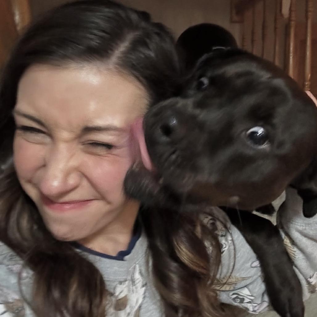 Enlarge Porter, a Adoptable Pit Bull Terrier in Chicago, IL image 6/6