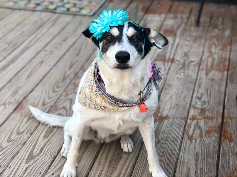 Yzma photo 4