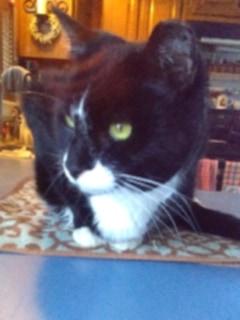 Ralphie  Sponsored! thumbnail 4