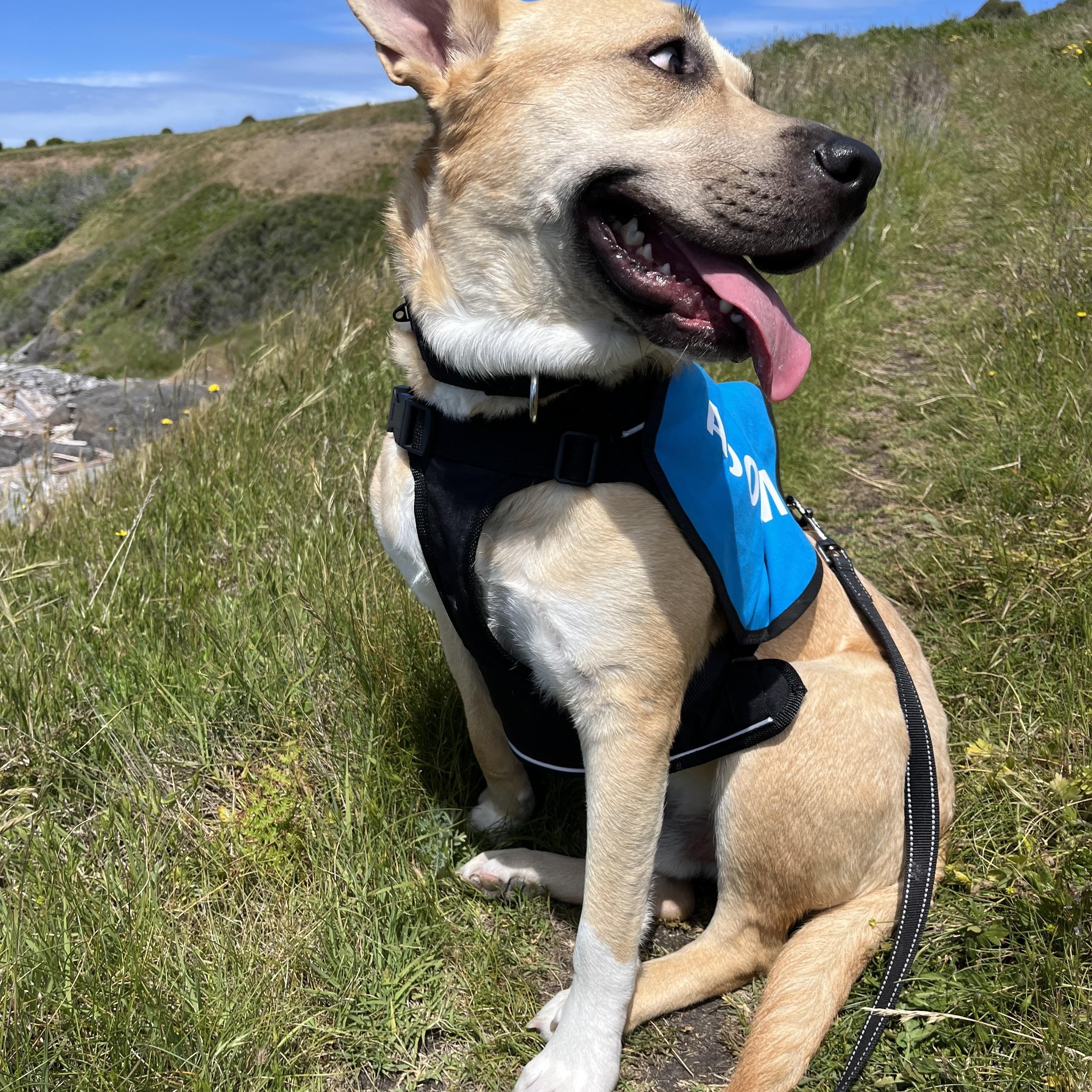 Wally photo 2