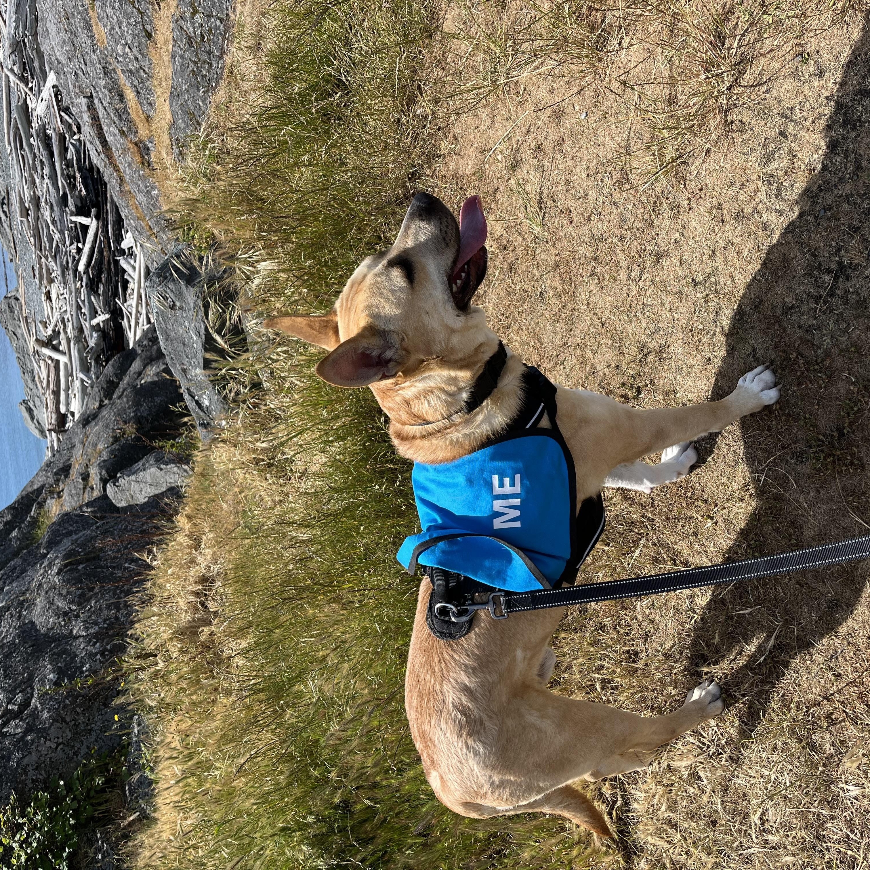 Wally photo 4