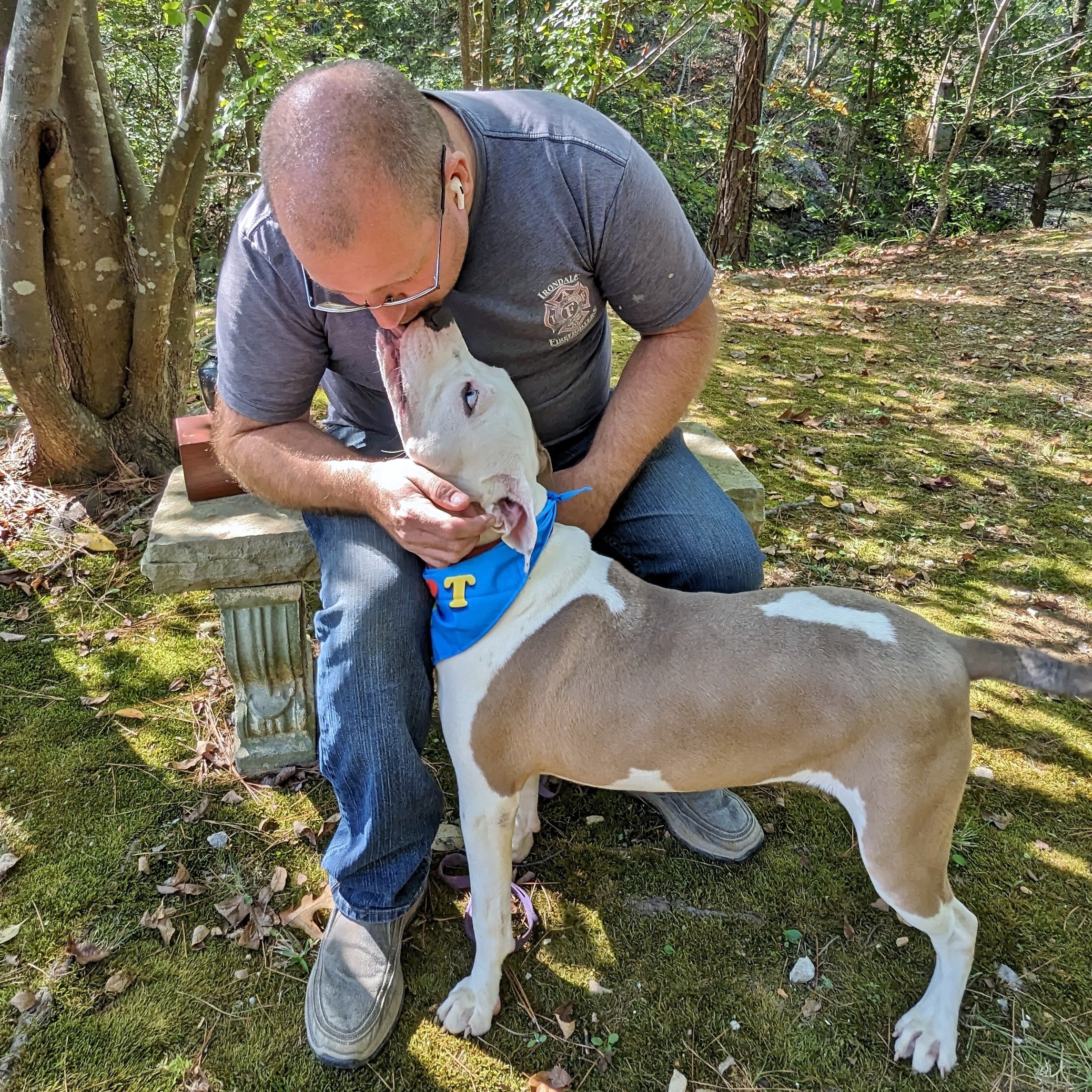 Enlarge Buddy, a Adoptable mixed breed in Helena, AL image 4/5