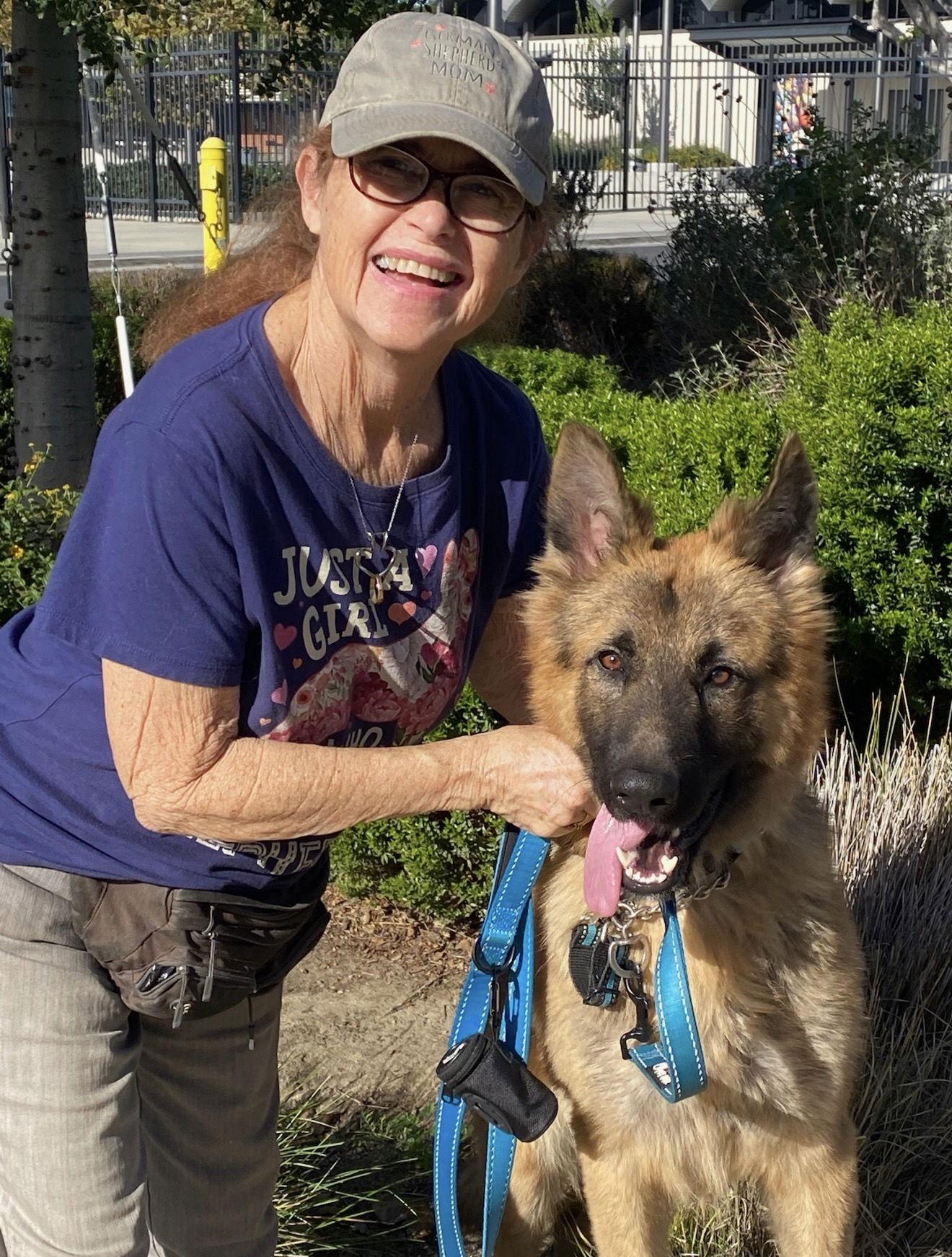 Buck, Adoptable, Young Male German Shepherd Dog.