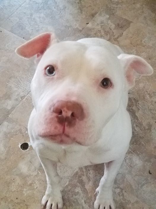 Ellie photo 3