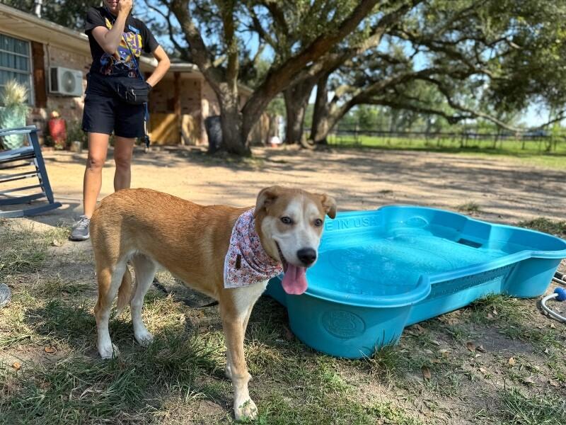 Sandy Duffy — thumbnail 5