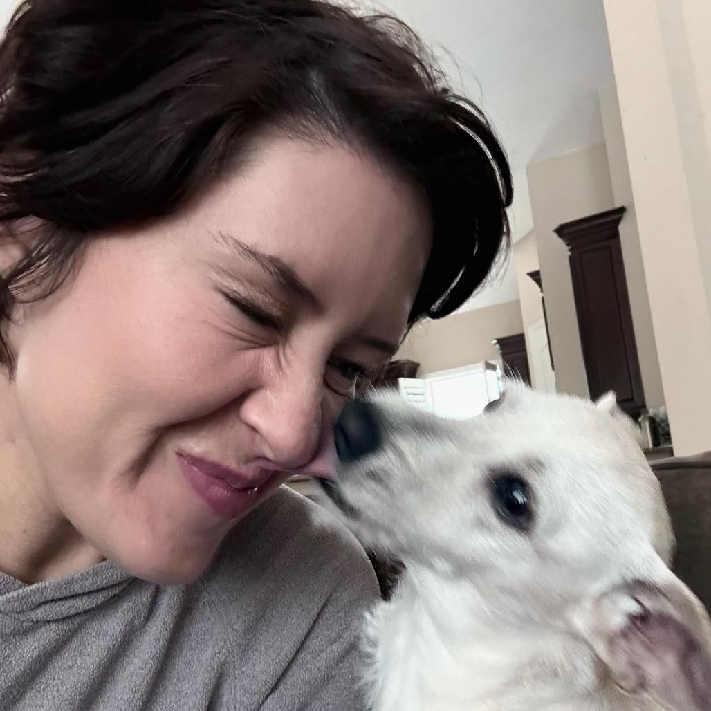 Scrappy, a Adoptable Chihuahua in Conroe, TX image 6/6