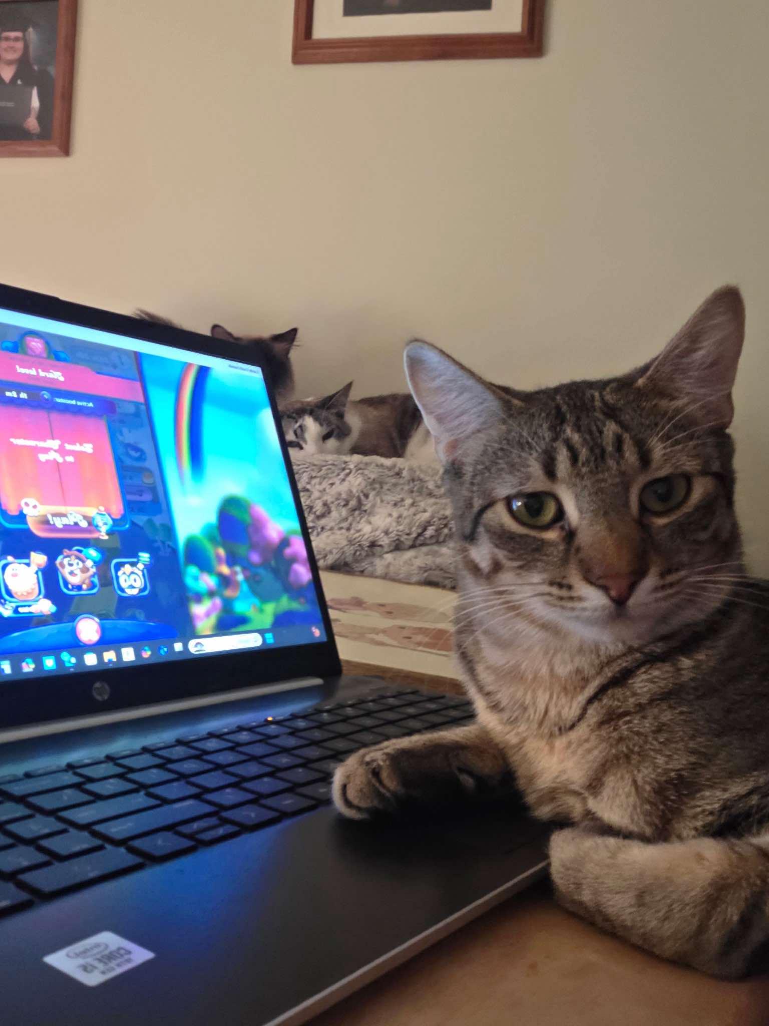 Roscoe