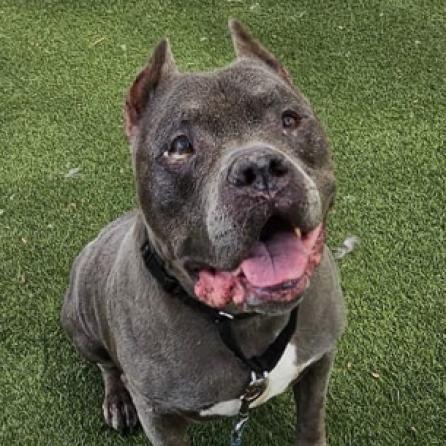 Echo — thumbnail 2