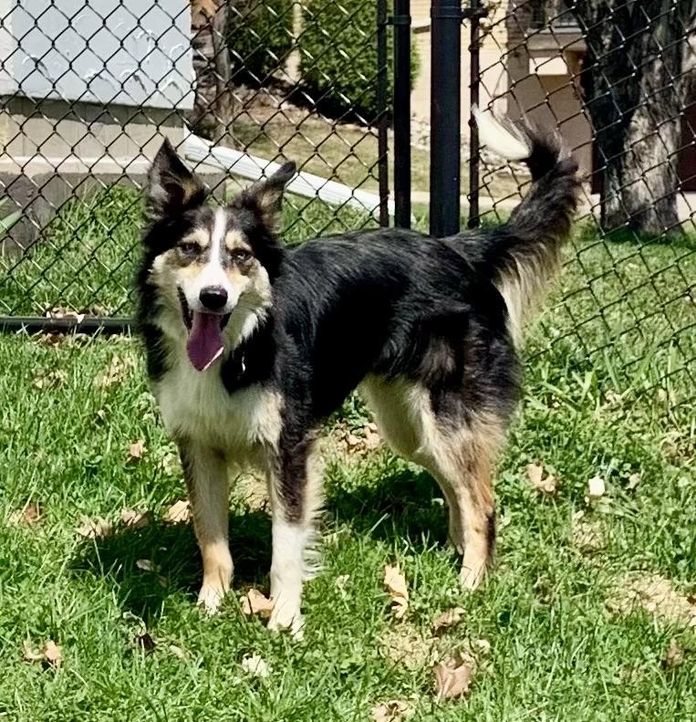 Tucker photo 1