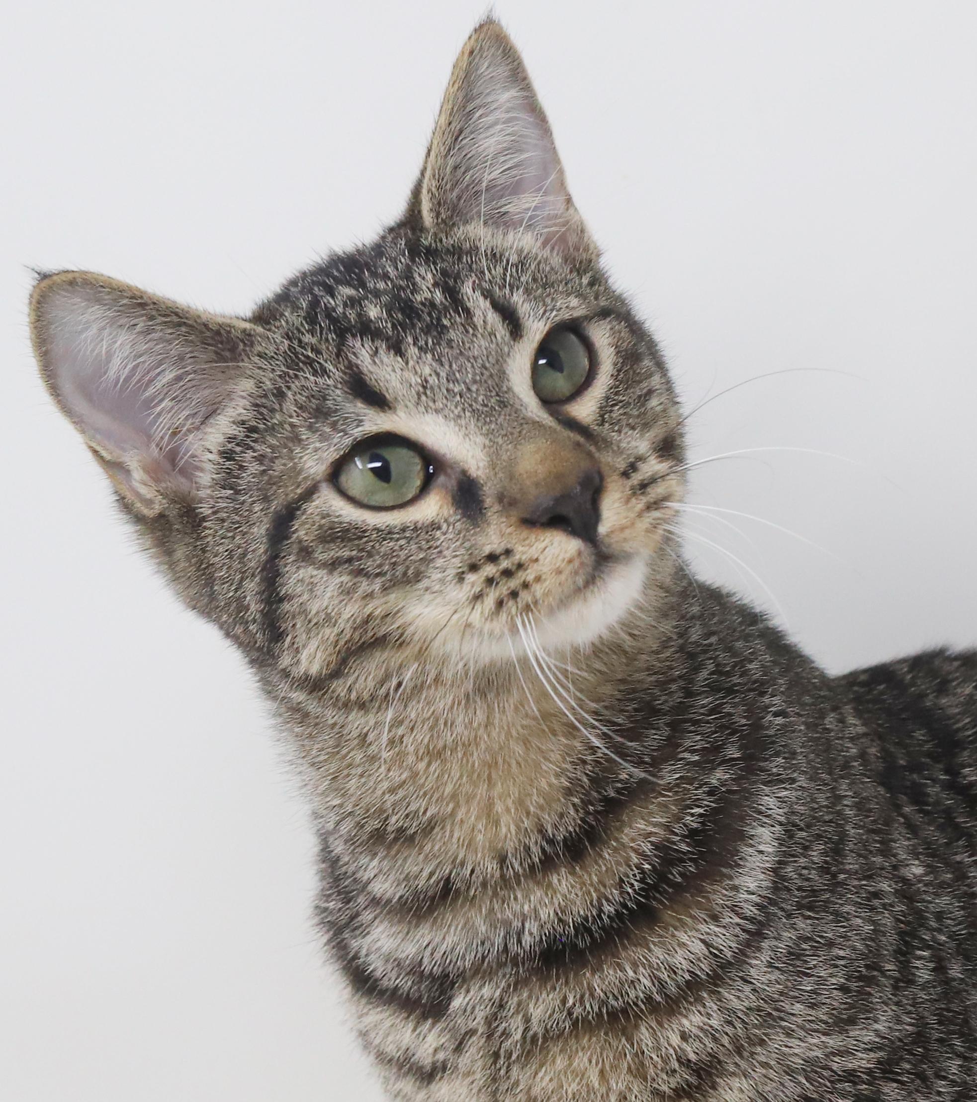 Baguette Is Not Just