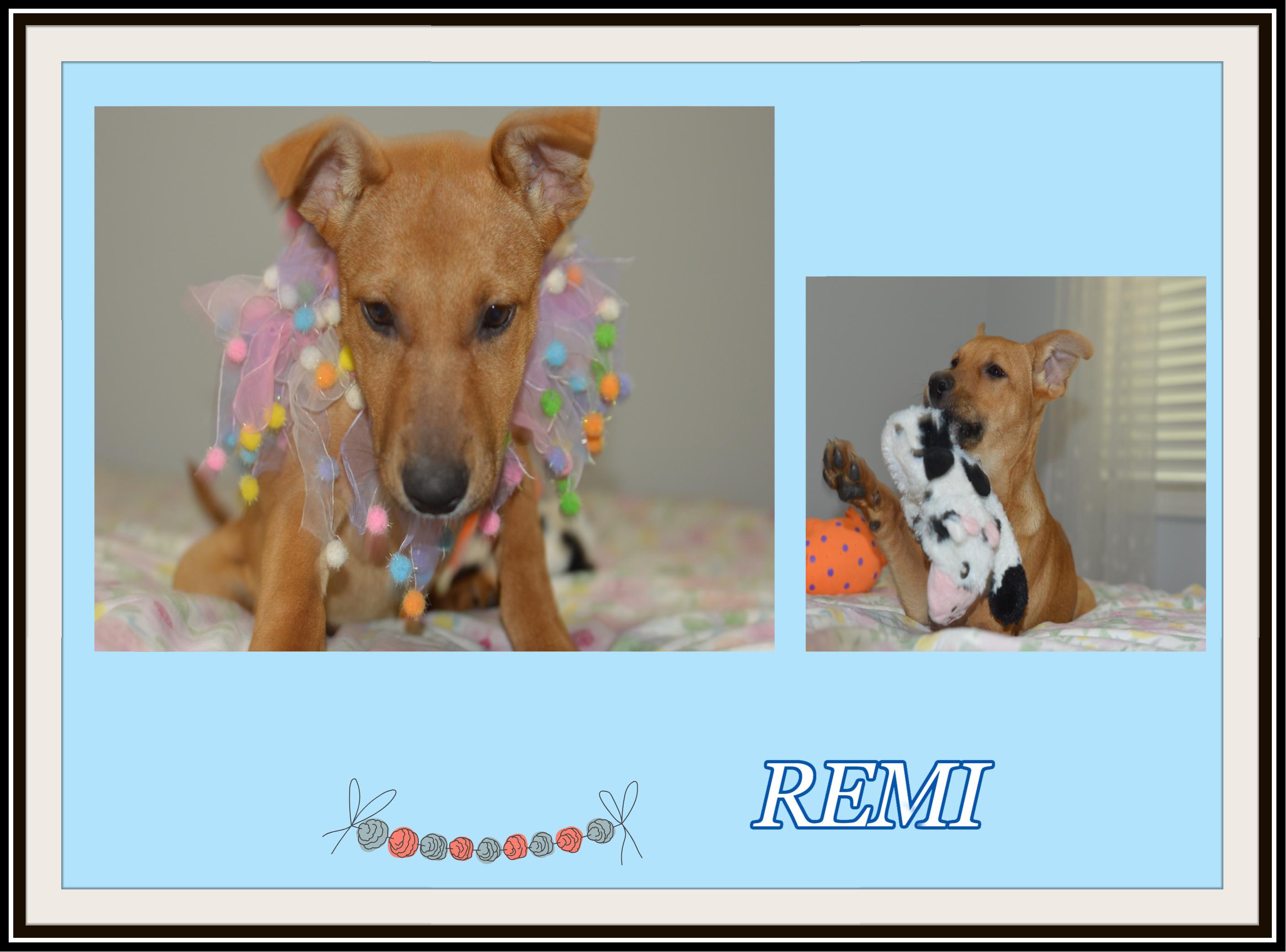 Remi Girl