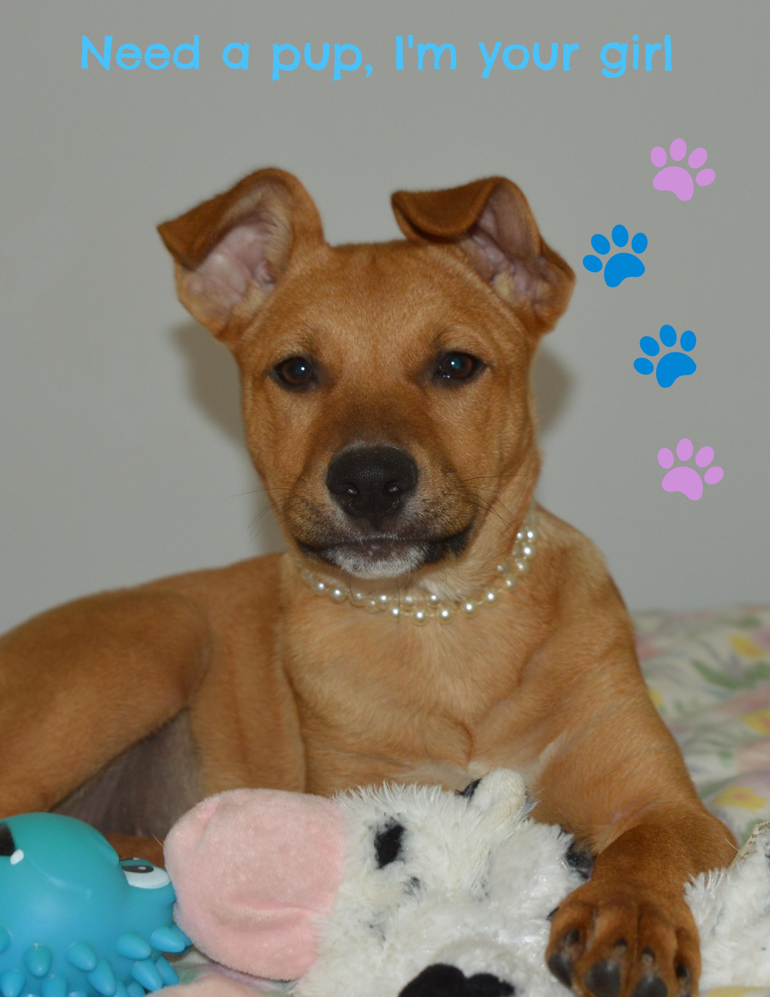 Remi Girl