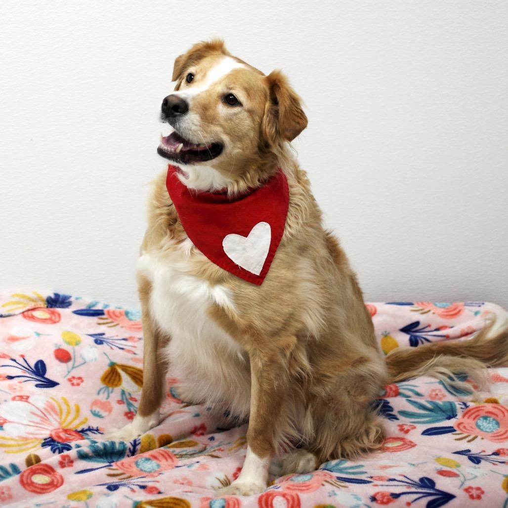 Zoey A — thumbnail 4