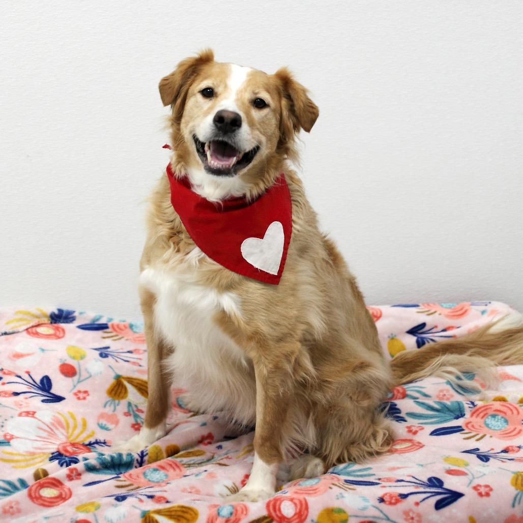 Zoey A — thumbnail 5