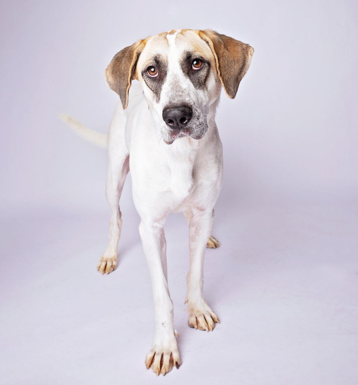 Rosabella — thumbnail 2