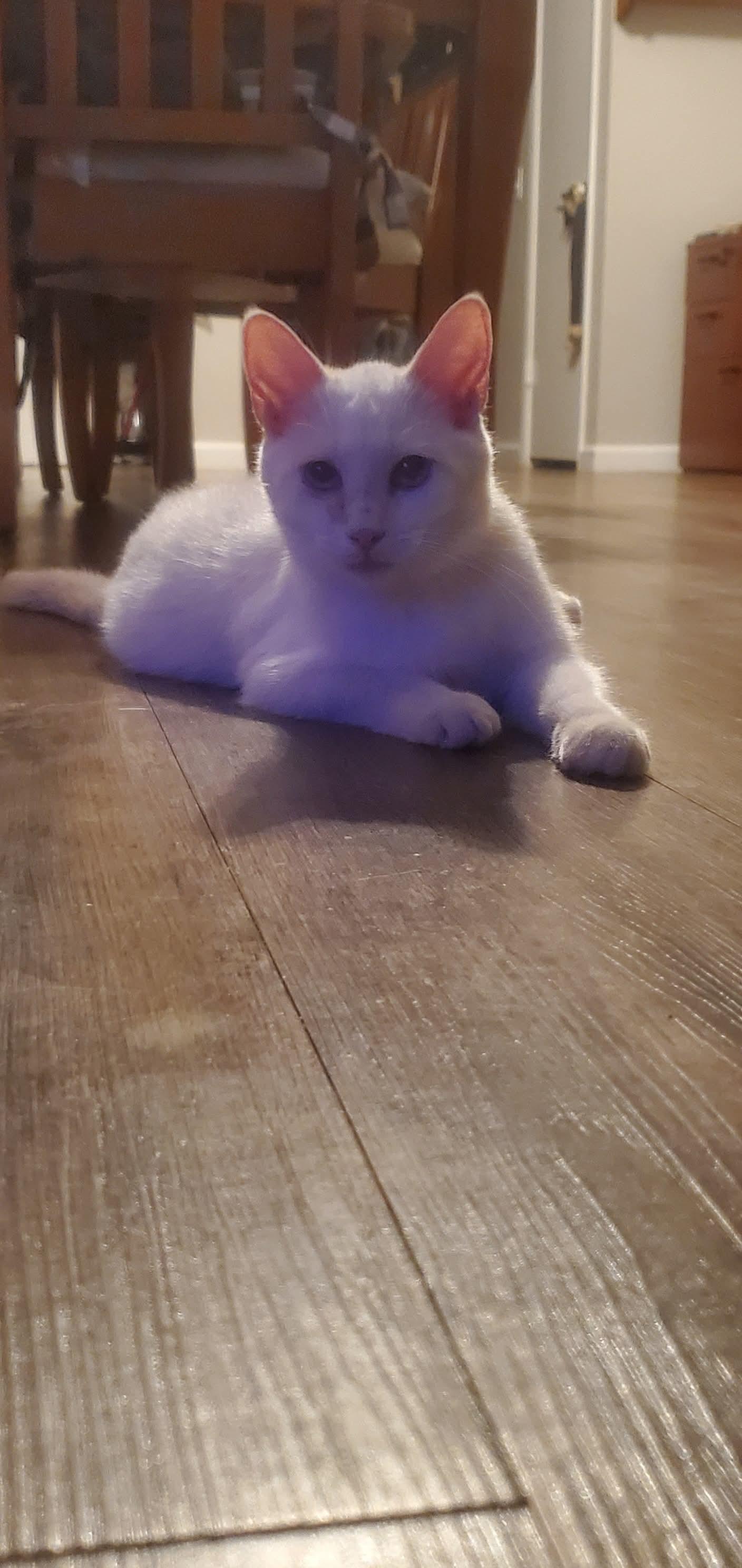 Ruby 2