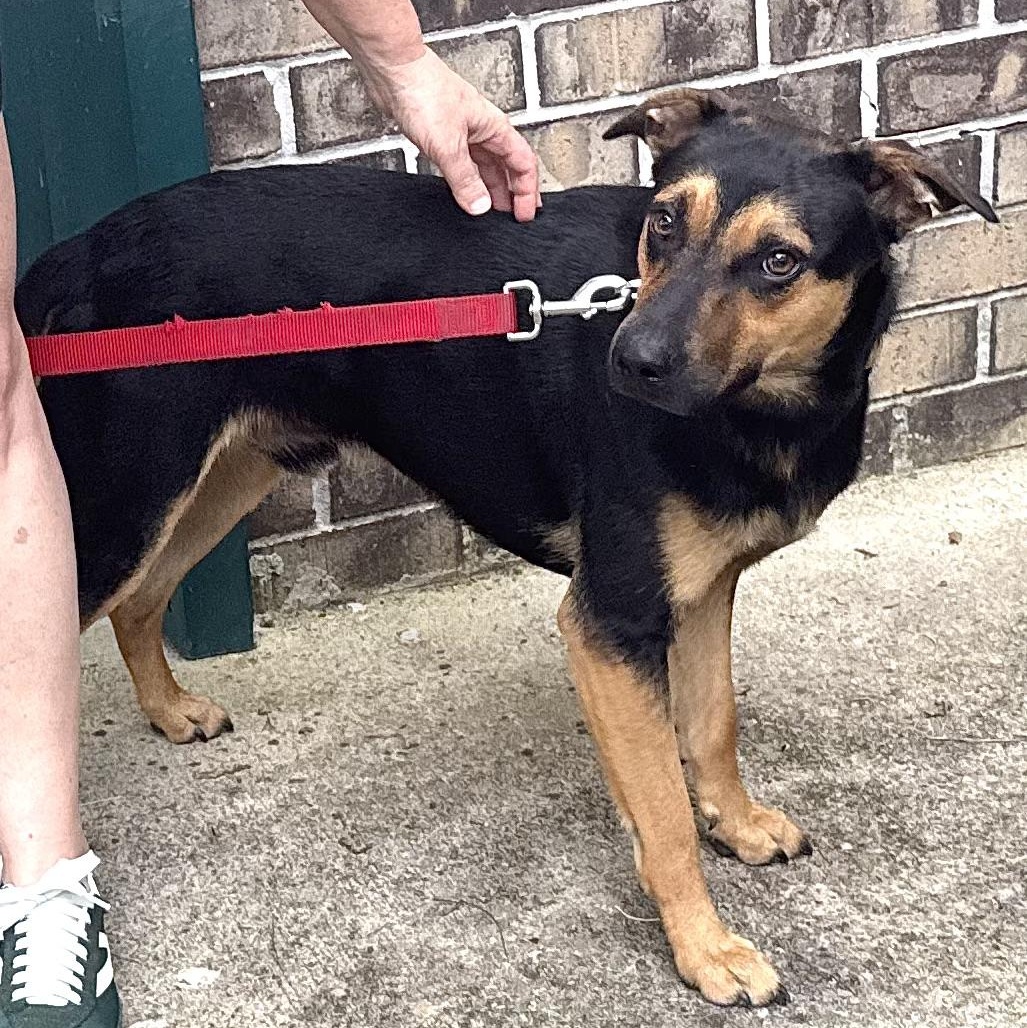 Milo