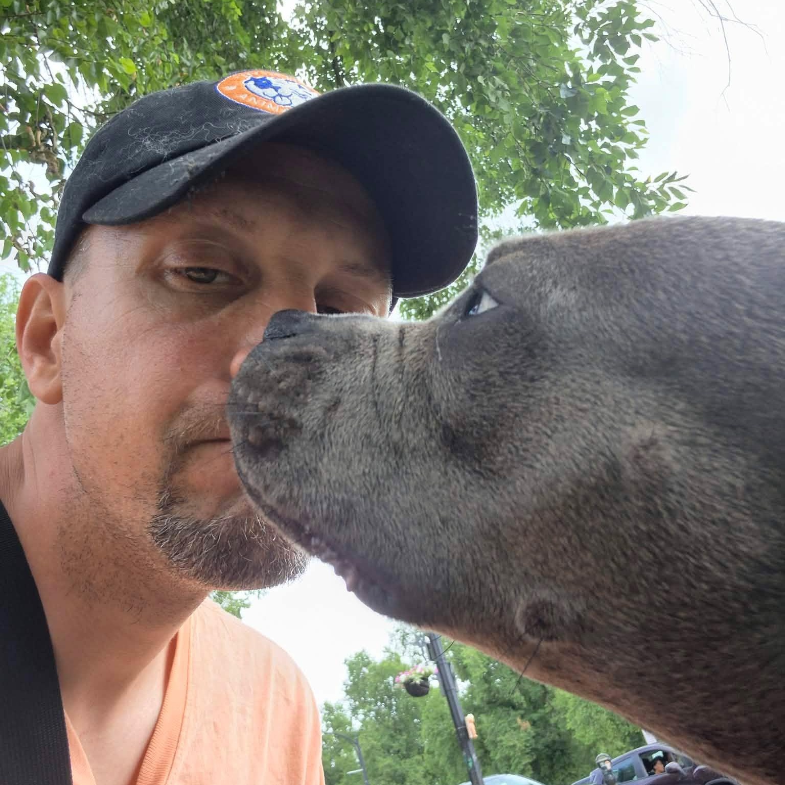 Clover, an adoptable mixed breed in Buffalo, NY image 5/6