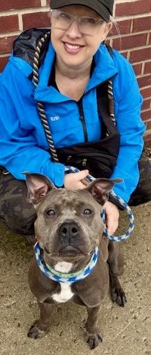 Enlarge Clover, a ADOPTABLE mixed breed in Buffalo, NY image 6/6