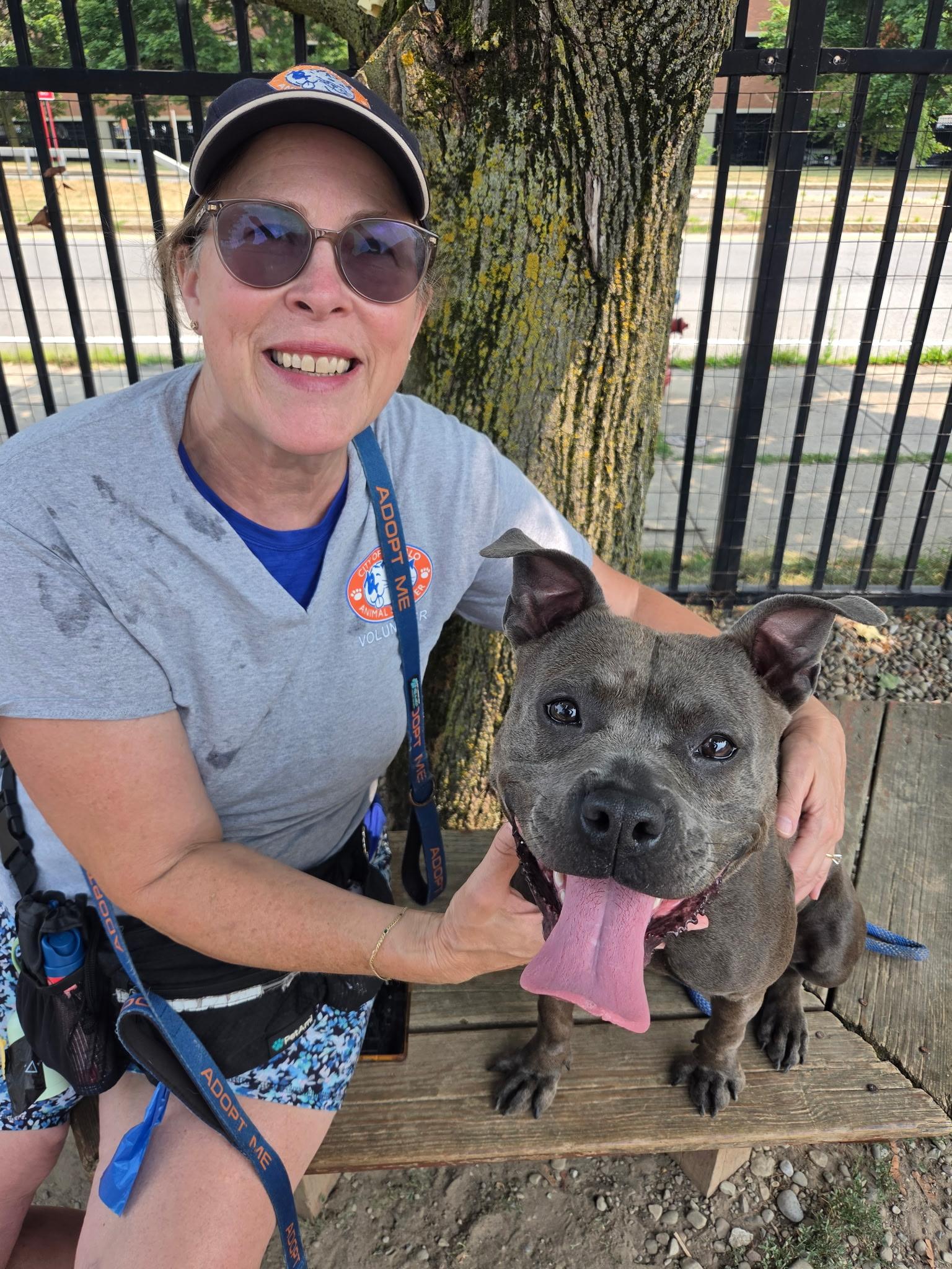 Clover, an adoptable mixed breed in Buffalo, NY image 4/6