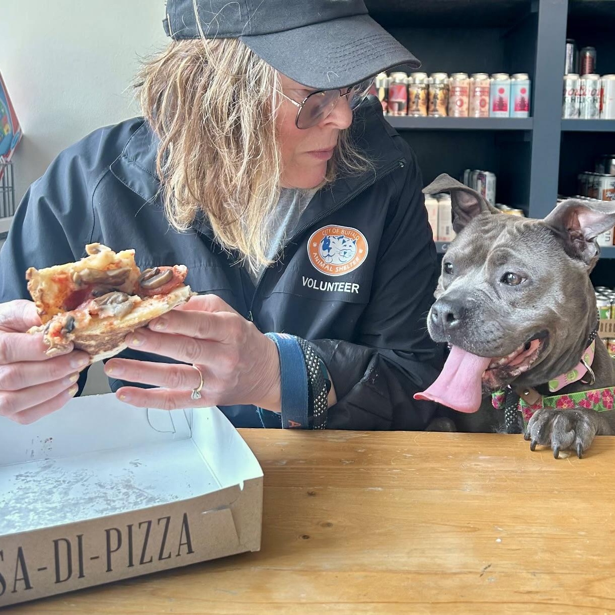 Enlarge Clover, a ADOPTABLE mixed breed in Buffalo, NY image 4/6